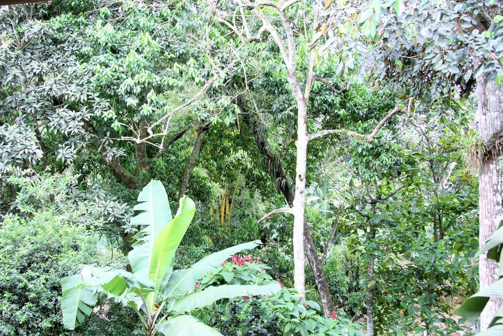 La Fortuna Hotel Monte Real מראה חיצוני תמונה